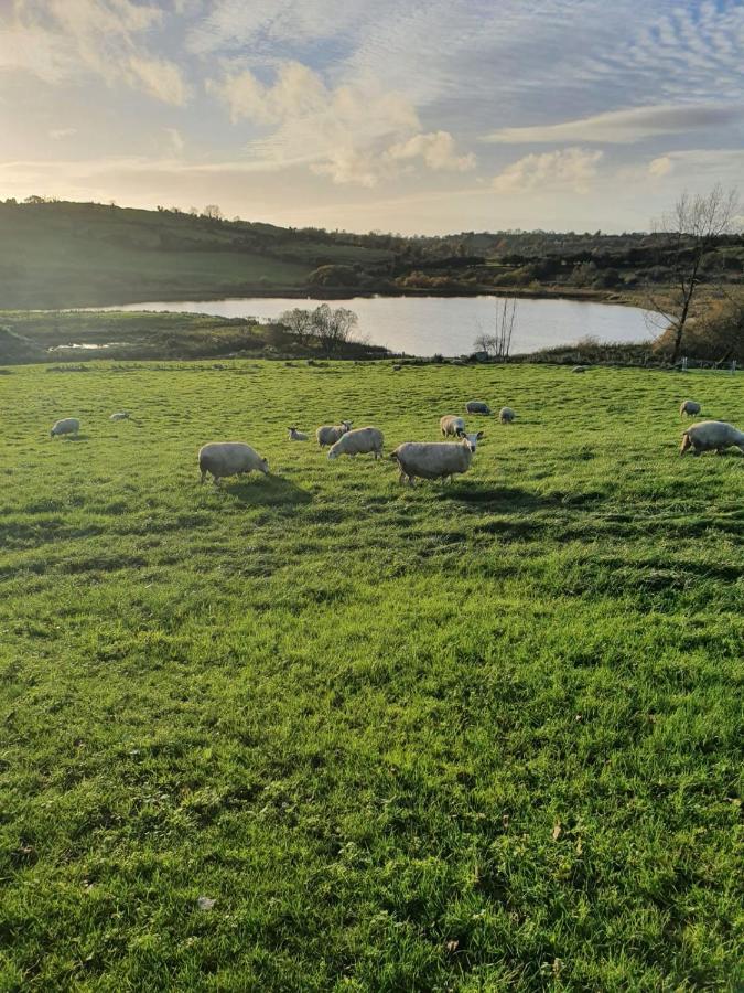 Claragh Cottage Cavan Buitenkant foto