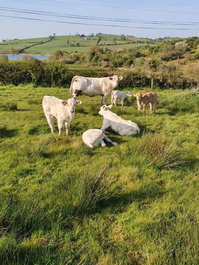 Claragh Cottage Cavan Buitenkant foto