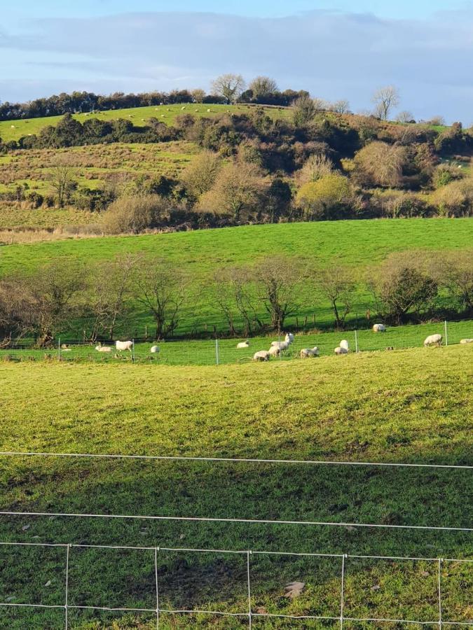 Claragh Cottage Cavan Buitenkant foto