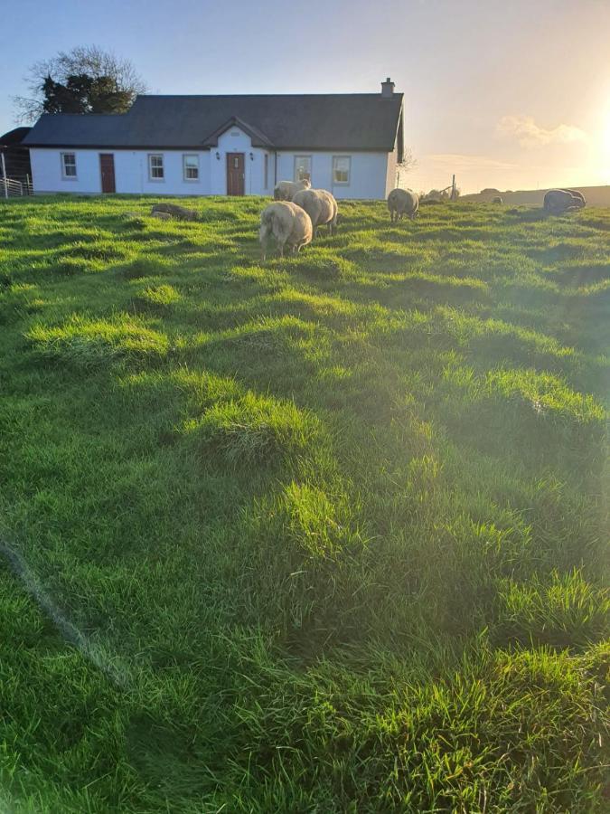 Claragh Cottage Cavan Buitenkant foto